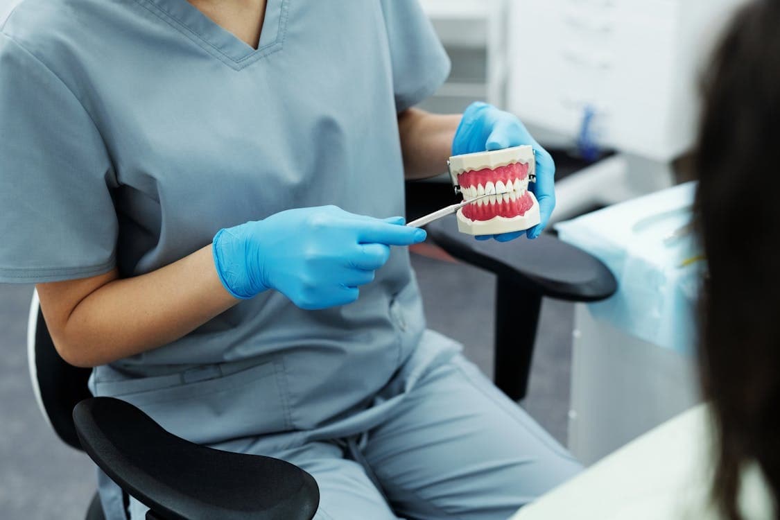Prevenire inflamație gingivală Bacău — medic stomatolog care demonstrează pe modelul dentar tehnica corectă de periaj și îngrijire a gingiilor pentru prevenția gingivitei și parodontozei la Chromatic Dental Clinic