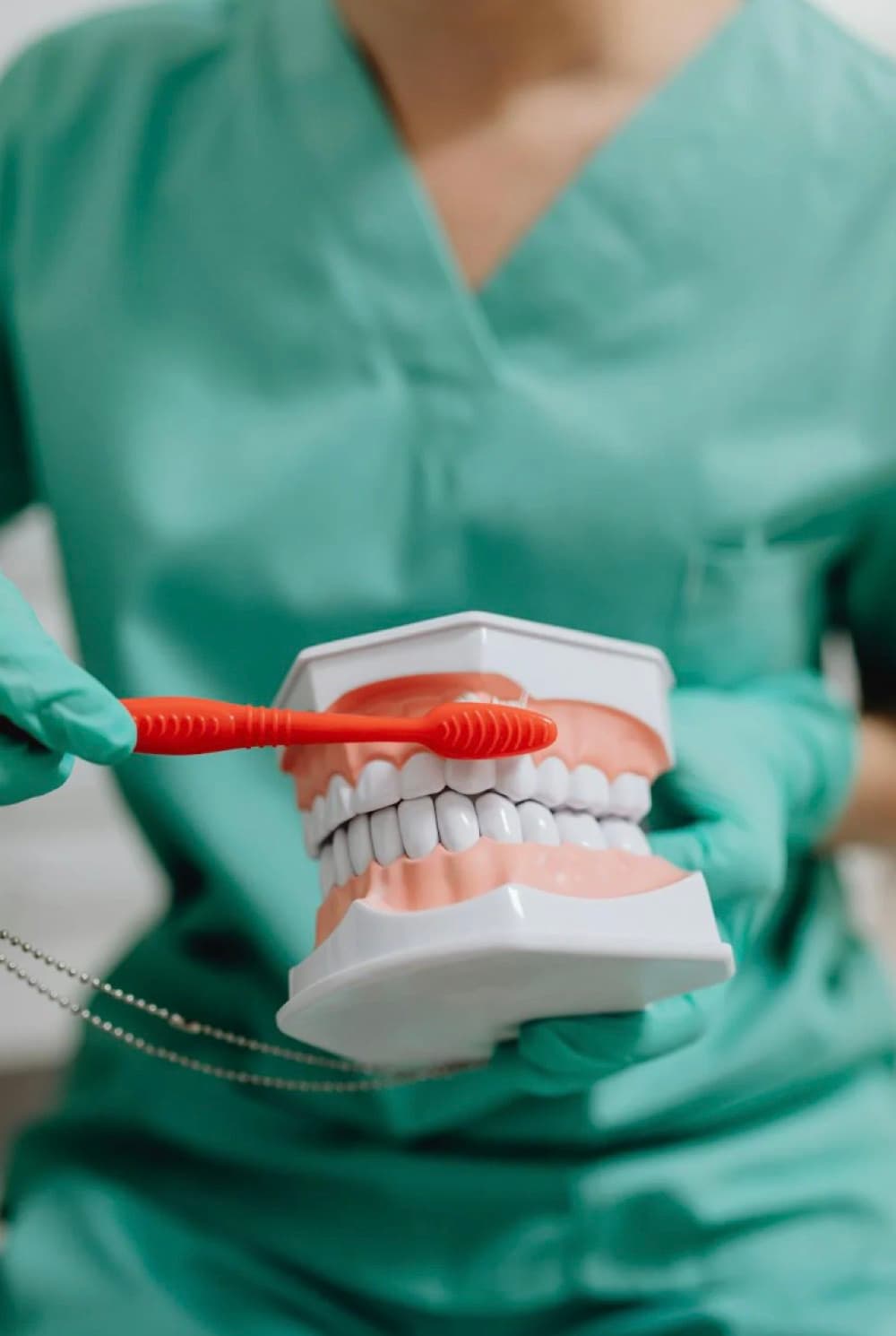 Igiena implantului dentar Bacău — medic stomatolog demonstrează tehnica corectă de periaj pe un model dentar la Chromatic Dental Clinic